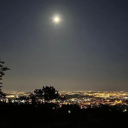 Quinta Da Paciencia * 辛特拉